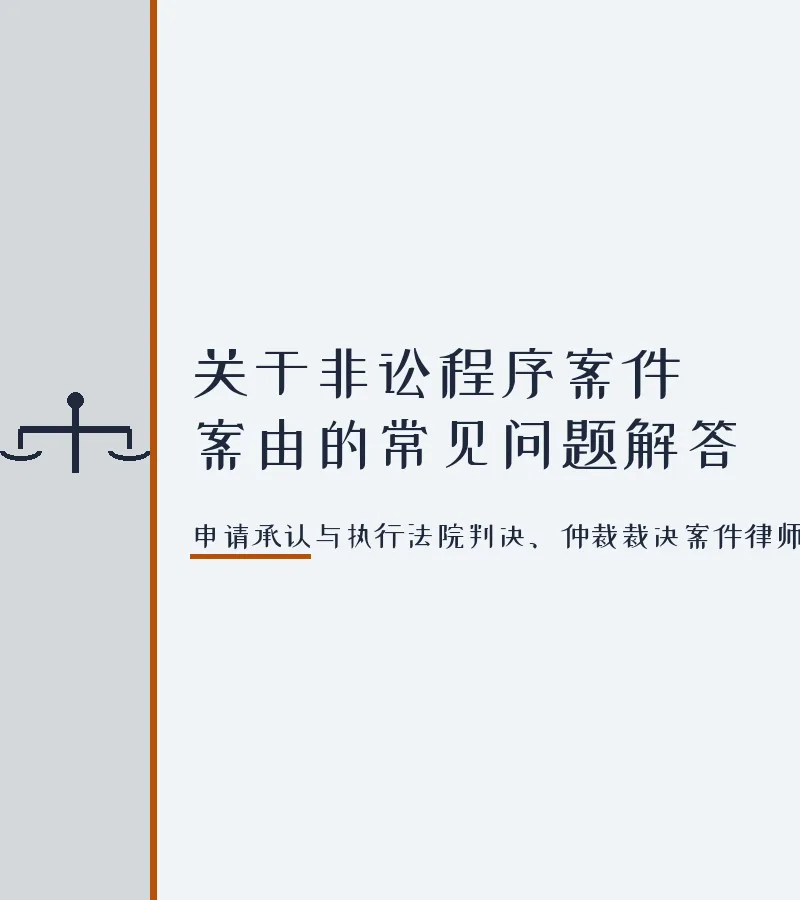 关于非讼程序案件案由的常见问题解答